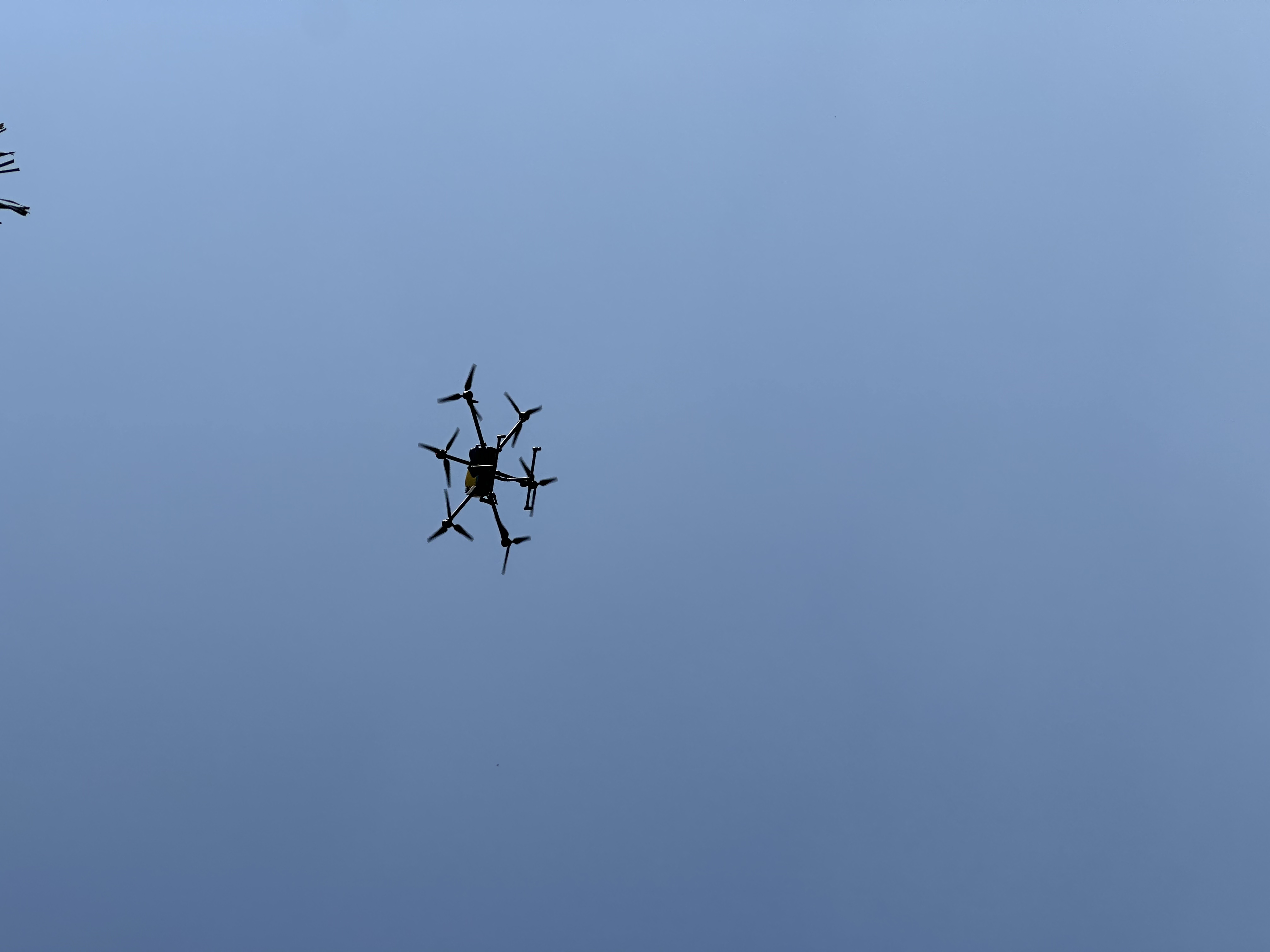 In the parks of Shenzhen, drones can often be seen shuttling through the air. /CGTN