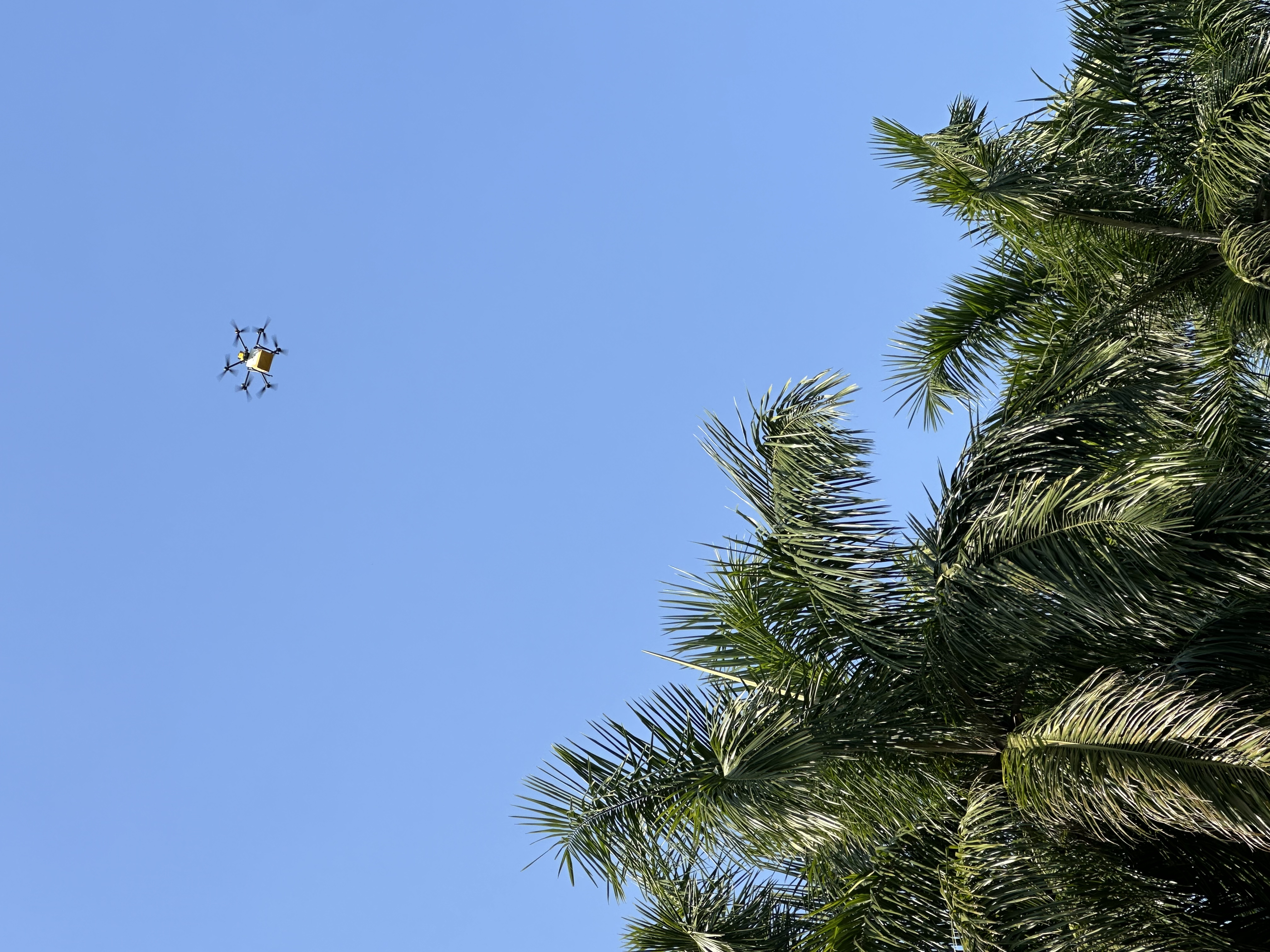 In the parks of Shenzhen, drones can often be seen shuttling through the air. /CGTN