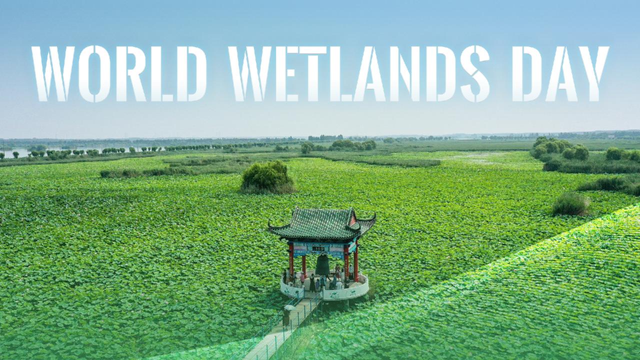 Wetlands, culture and China's conservation action plan