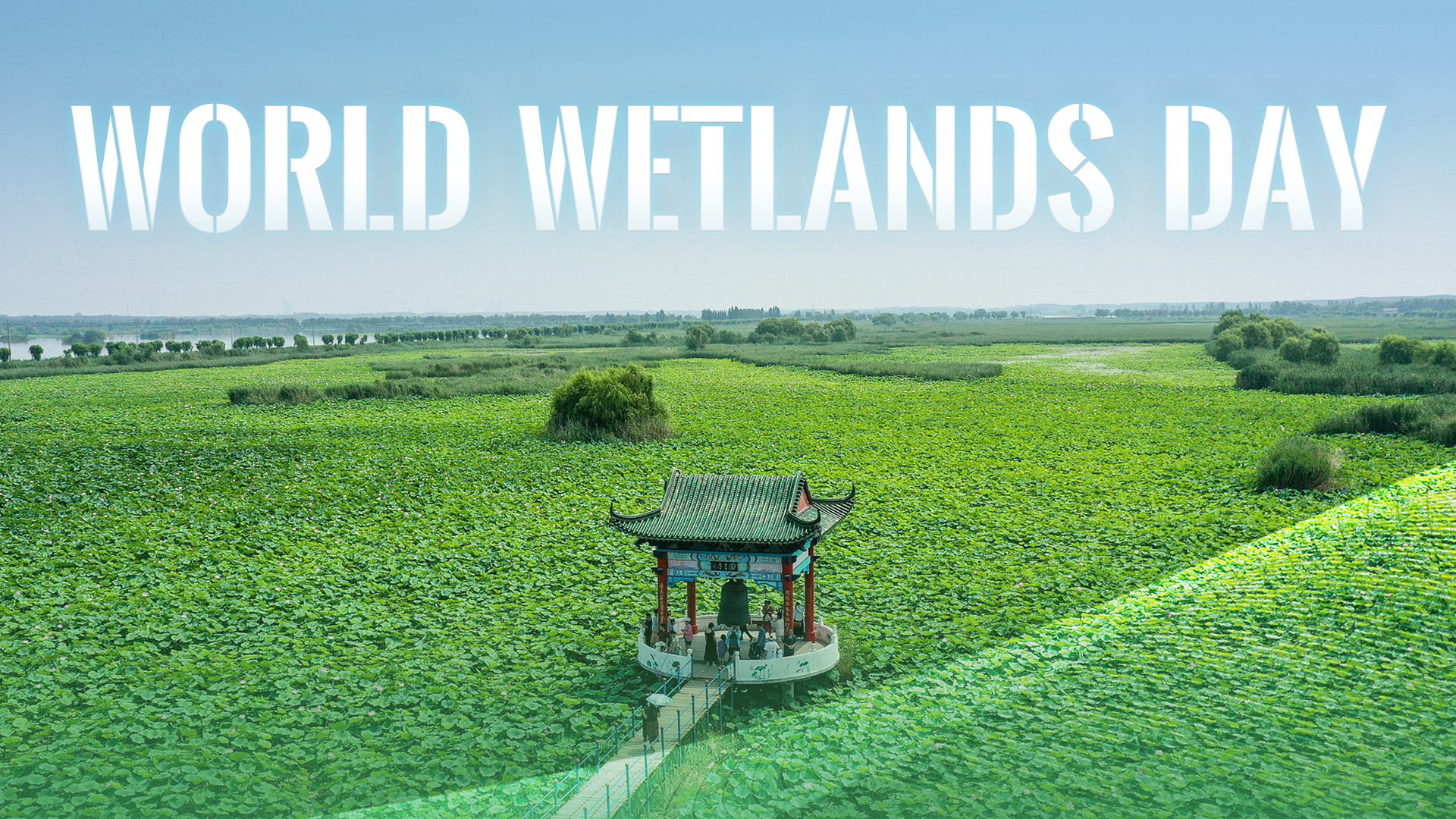 Wetlands, culture and China's conservation action plan