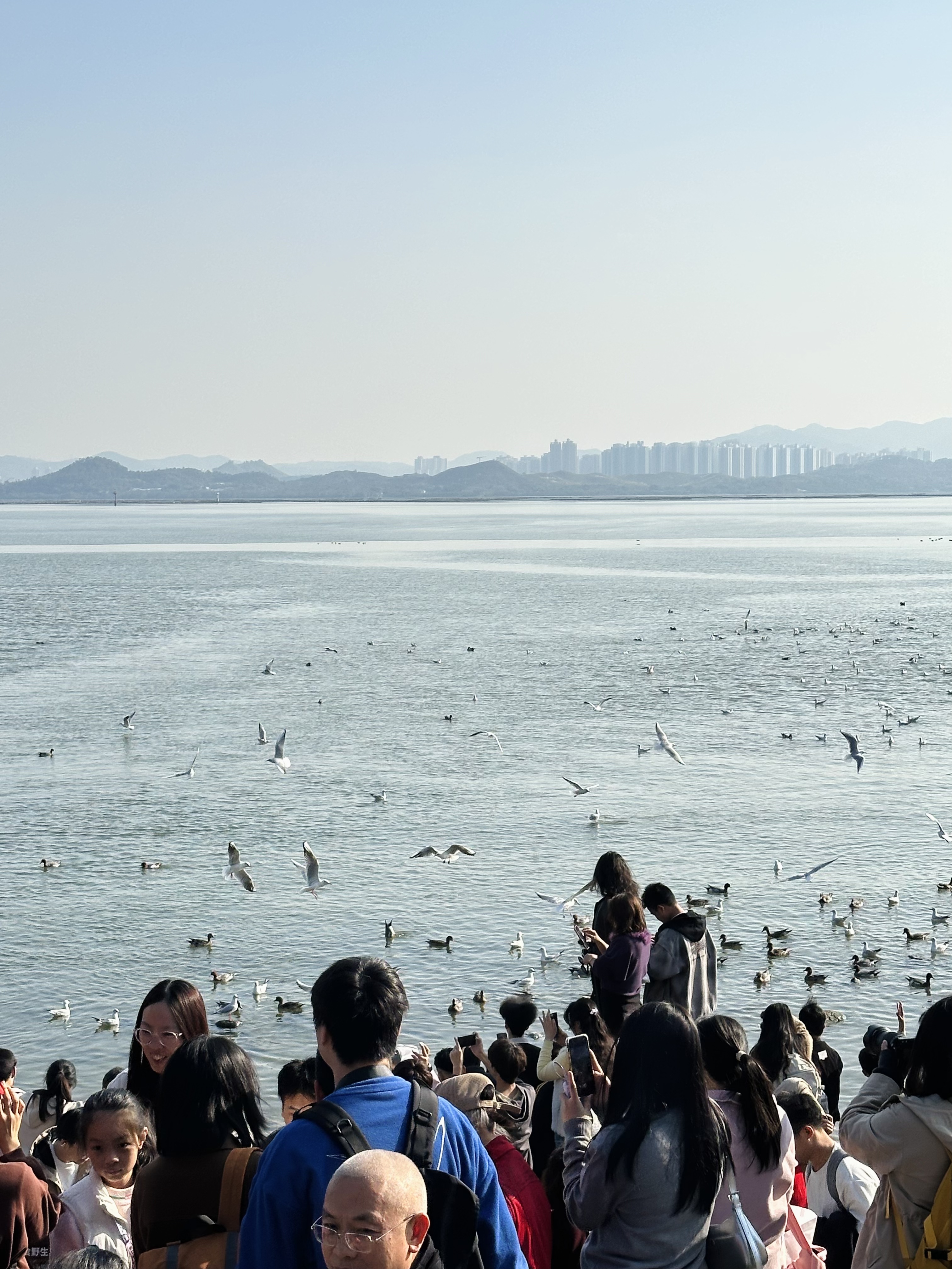 During winter at Shenzhen Bay, crowds of residents and tourists gather along the shore to observe birds, take photos and share their sightings. /CGTN