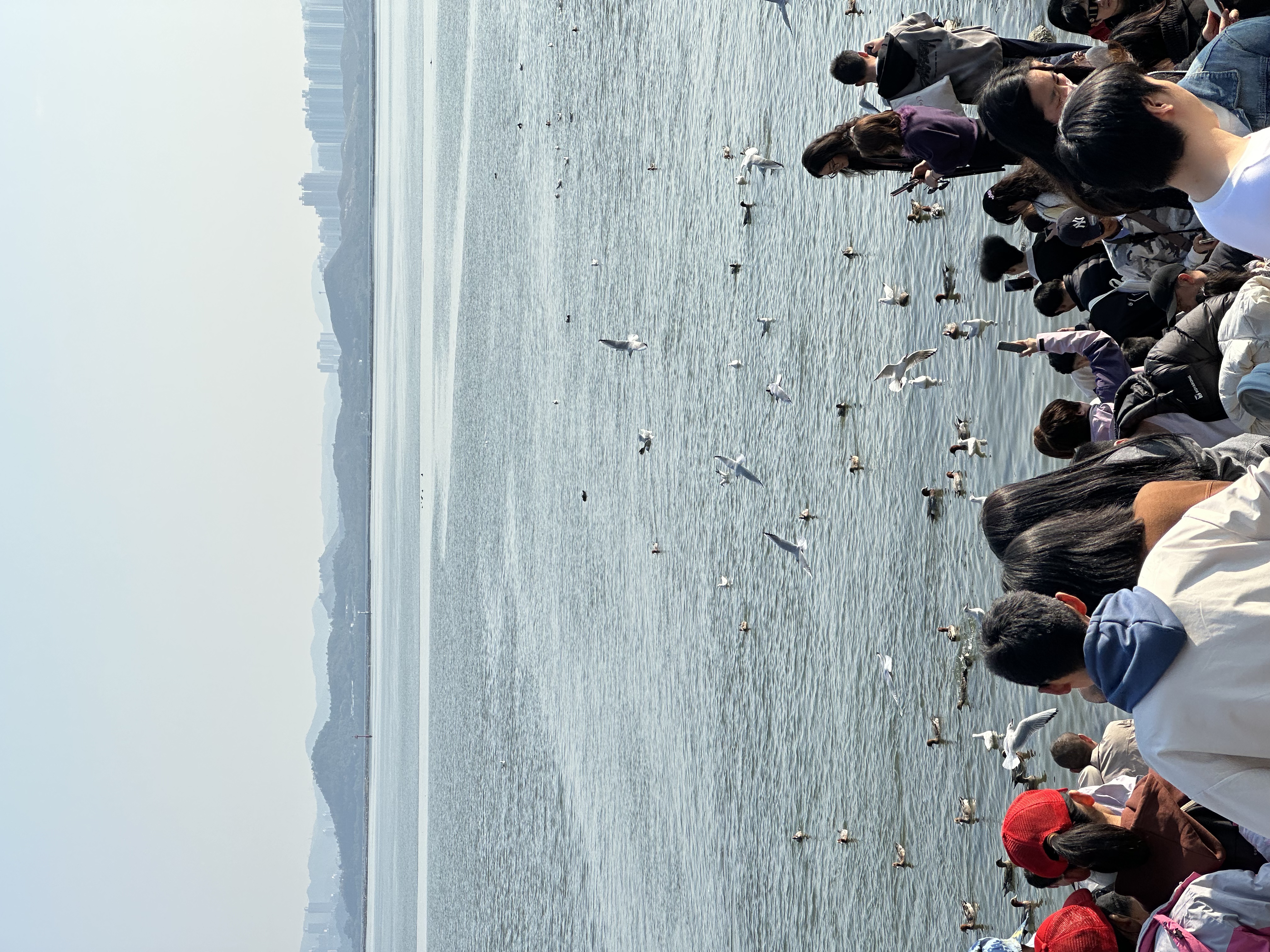 During winter at Shenzhen Bay, crowds of residents and tourists gather along the shore to observe birds, take photos and share their sightings. /CGTN