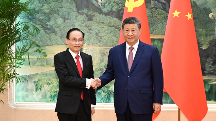 Xi: China consistently attaches great importance to ties with Vietnam
