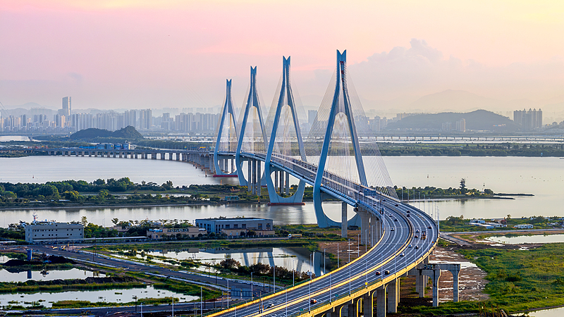 Live: Touring the vibrant Guangdong Province in S China