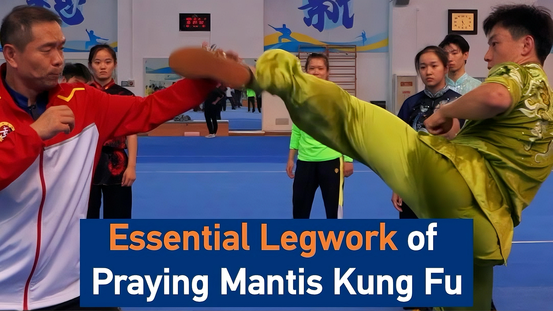 Rooted to strike: The legwork of Praying Mantis Kung Fu