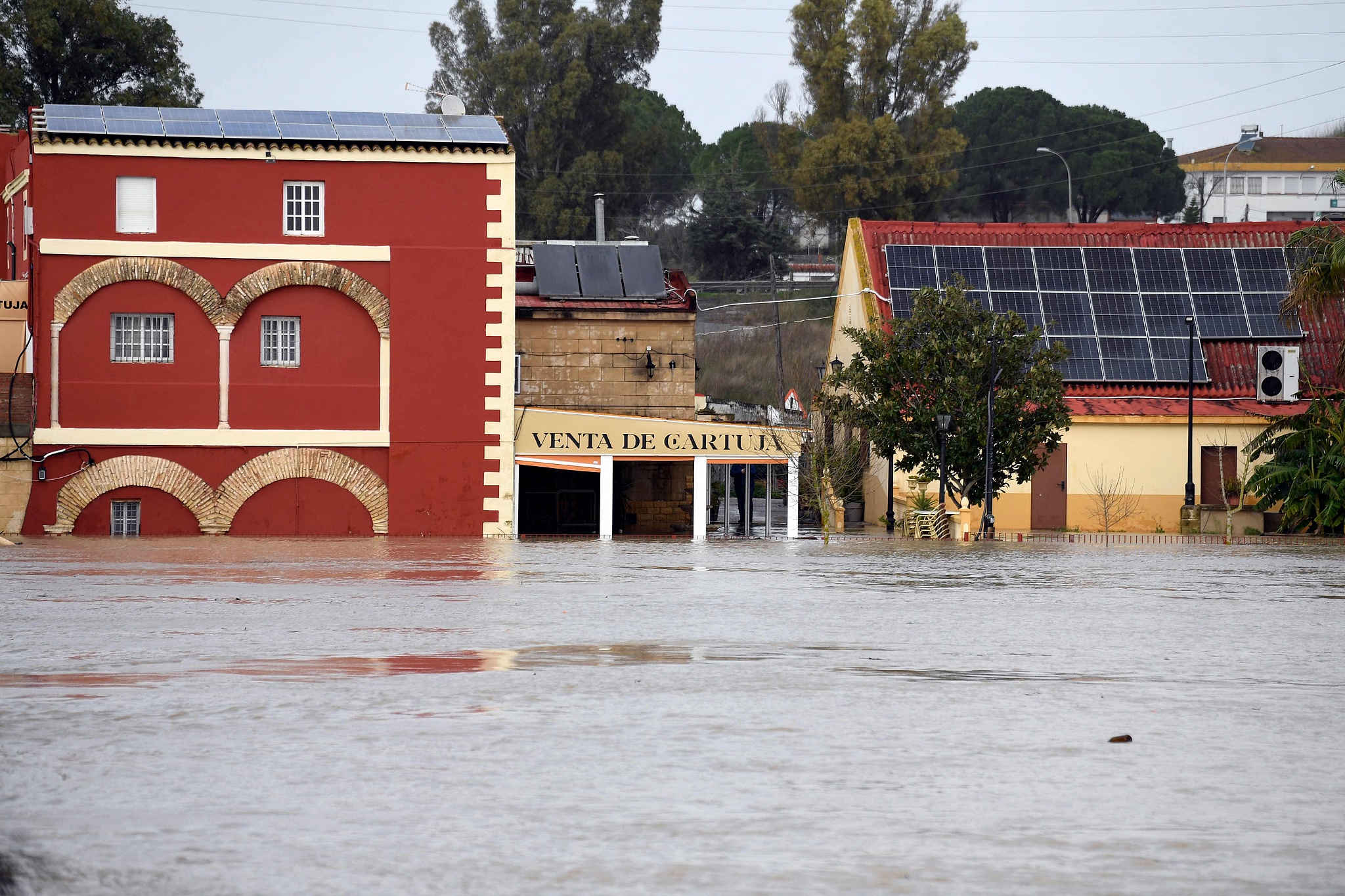 A flooded area at Las Pachecas settlement in Jerez, Spain, February 5, 2026. /VCG