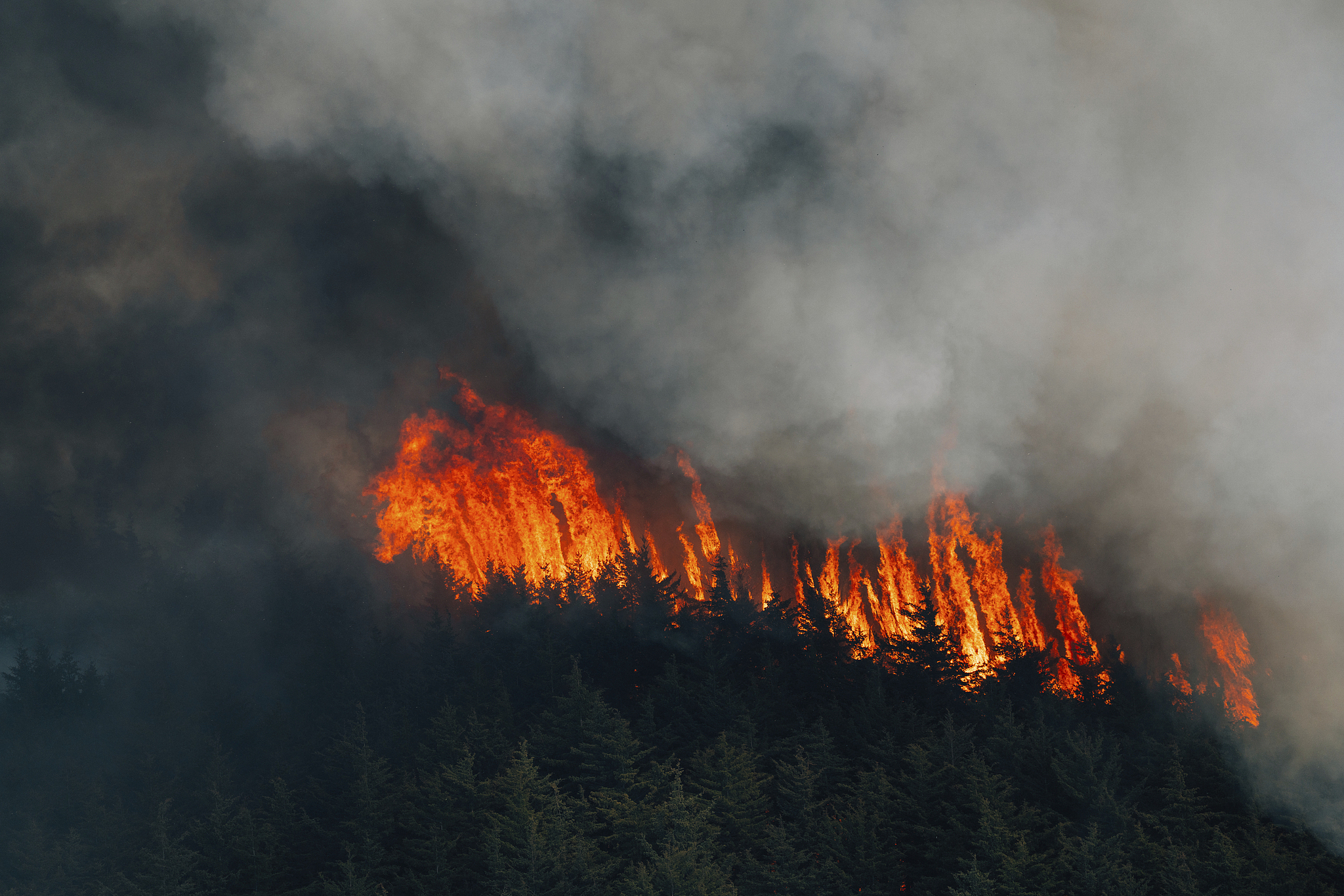 Smoke fills the sky from a wildfire in Ocean County, New Jersey, the U.S., April 24, 2025. /VCG