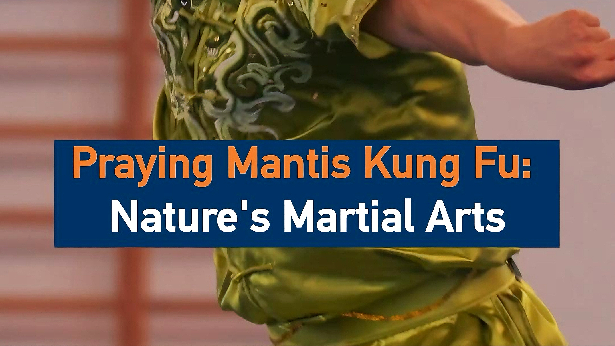 Praying Mantis Kung Fu: Nature's martial art