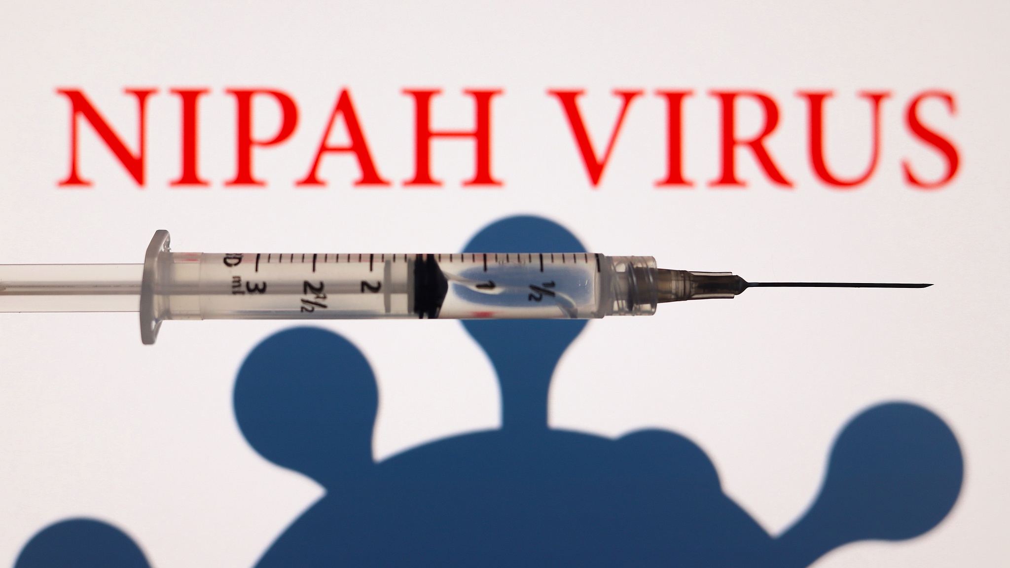 WHO: Bangladesh reports Nipah Virus death in Rajshahi Division