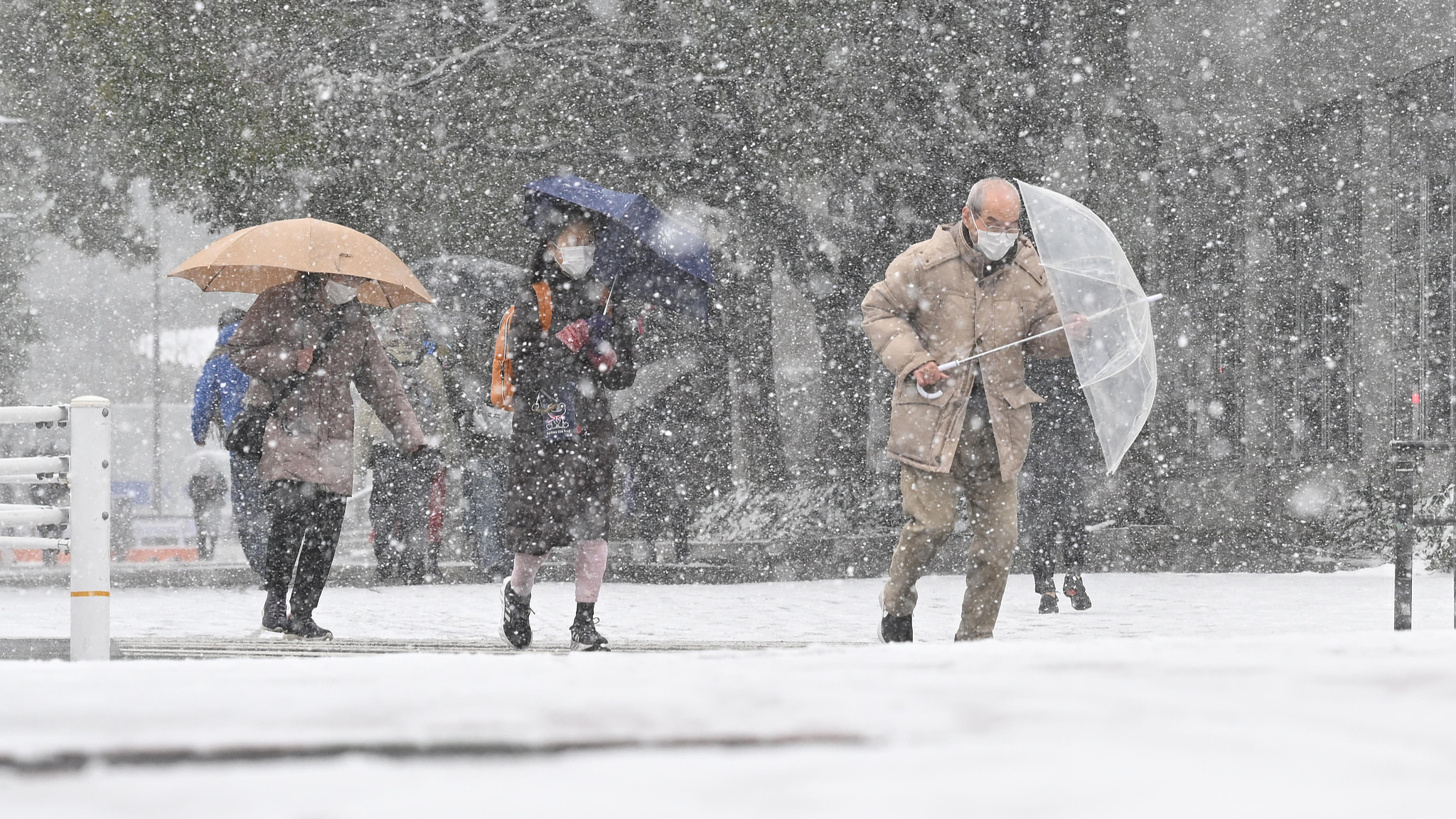 Snow falls on a street in Koto Ward, Tokyo, on February 8, 2026. /VCG
