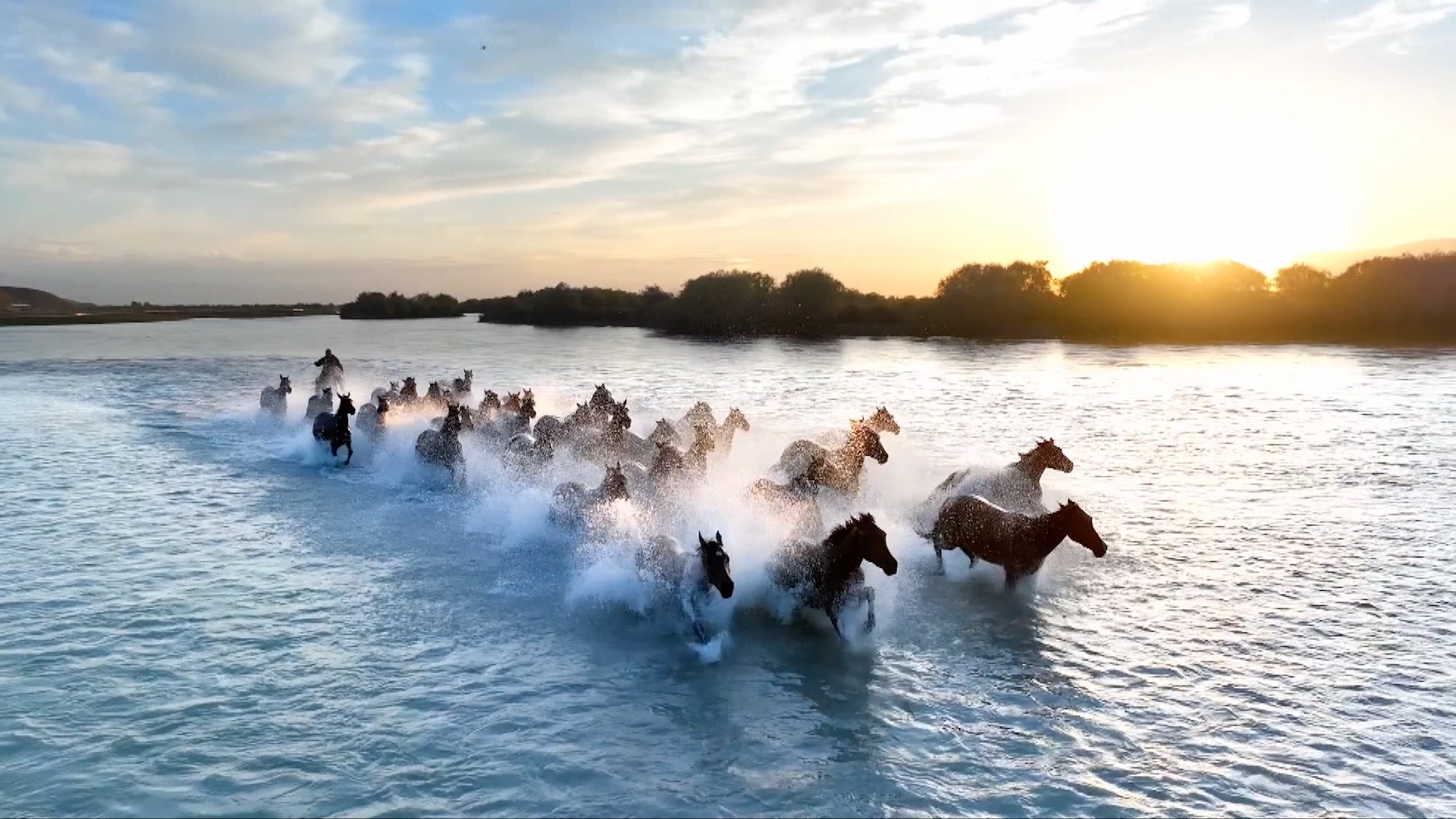 Herds of horses dash through a river in Zhaosu County, northwest China's Xinjiang Uygur Autonomous Region, a local tradition known as 