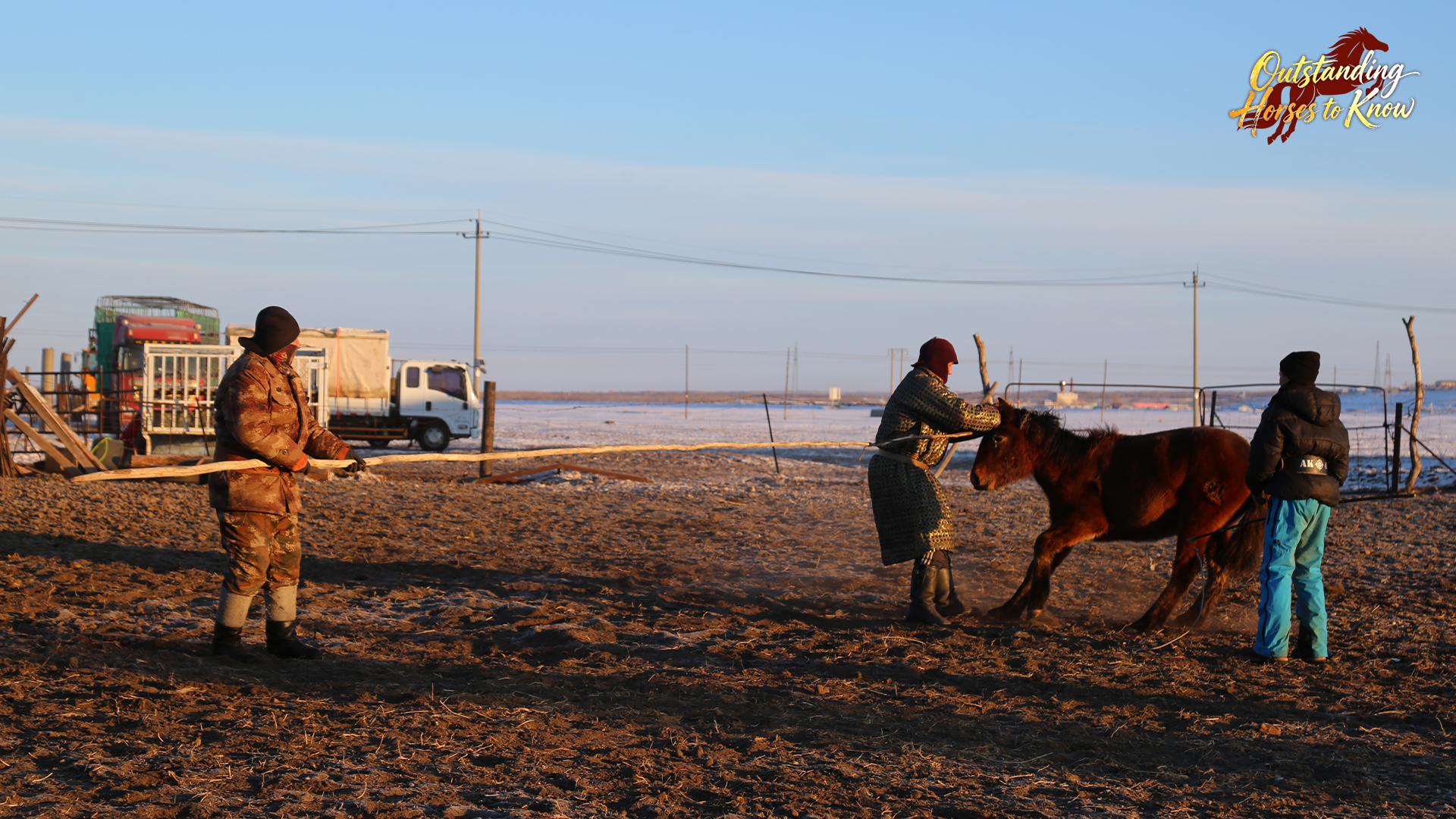 Three men harness a Mongolian horse, north China's Inner Mongolia Autonomous Region. /CGTN