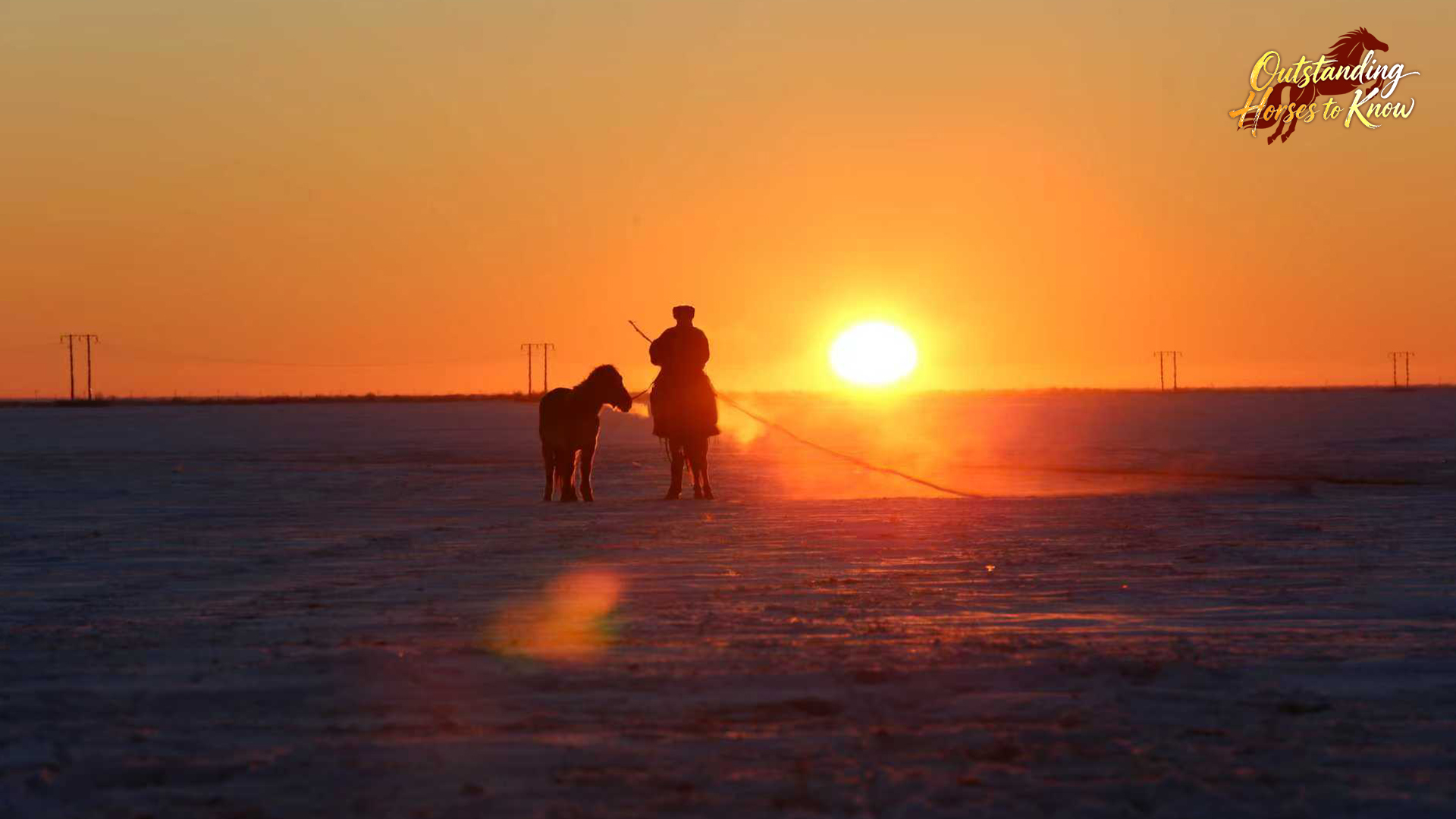A man walks Mongolian horses as the sun sets in Hulun Buir, north China's Inner Mongolia Autonomous Region. /CGTN
