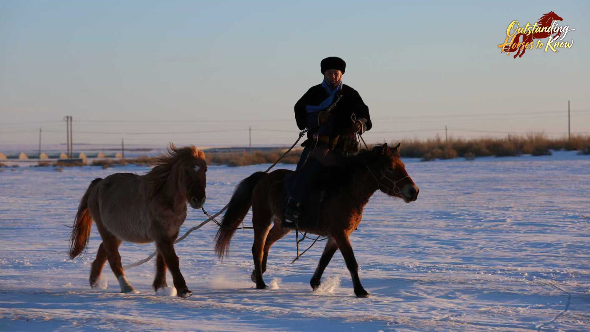 A man walks Mongolian horses in Hulun Buir, north China's Inner Mongolia Autonomous Region. /CGTN