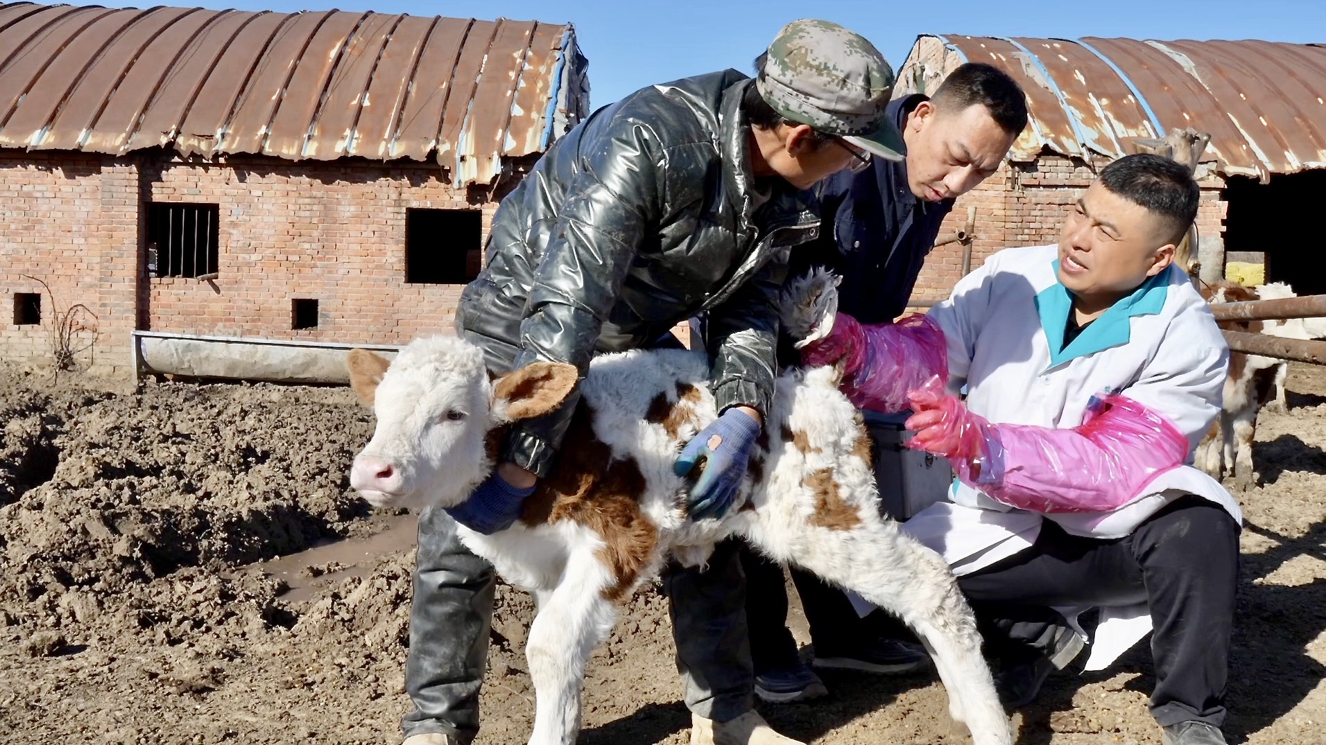 The man behind the 'Animal 120': Racing to save lives in rural Shanxi