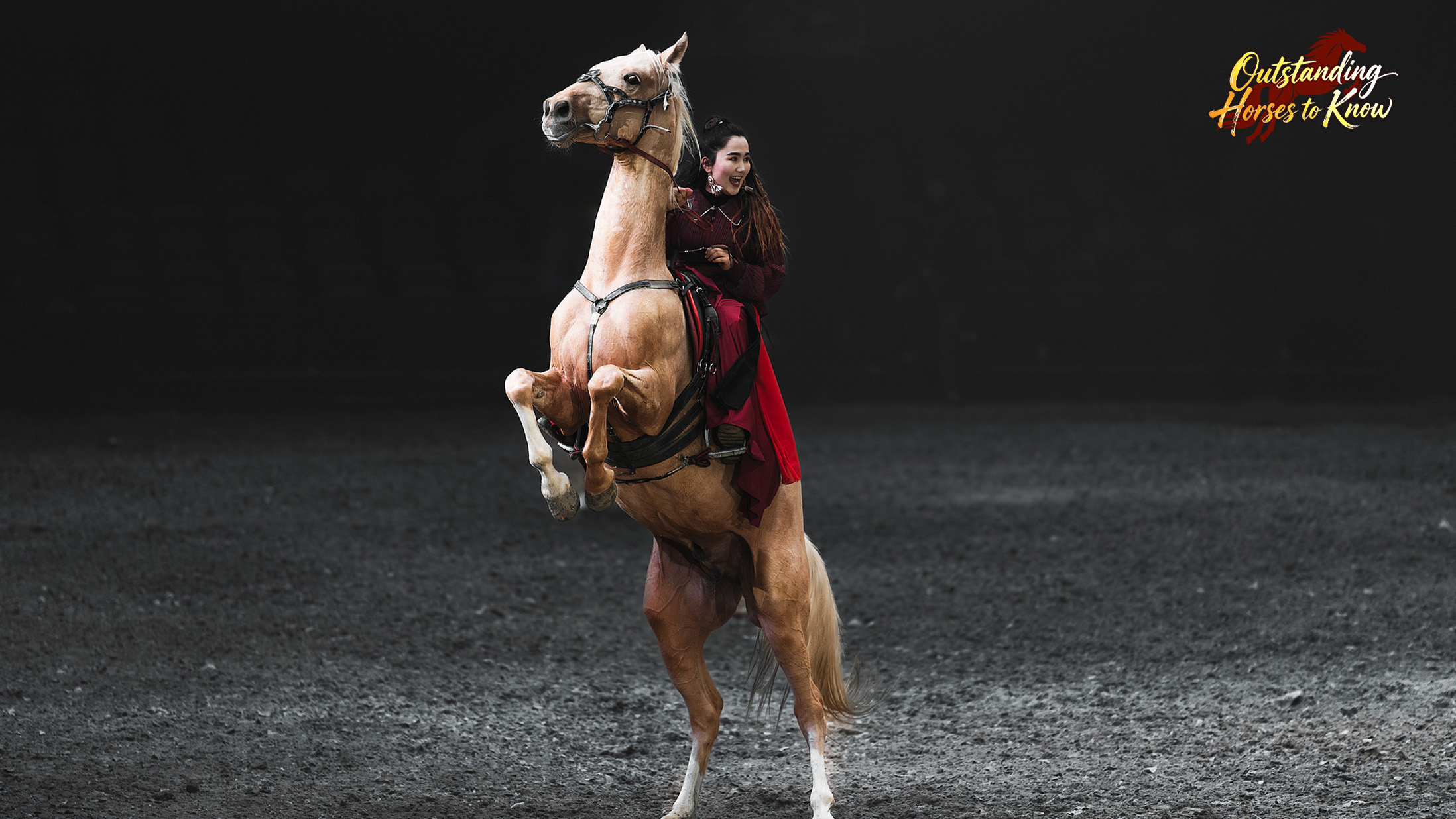 Akhal-Teke: World-renowned horse breed famous for speed and endurance