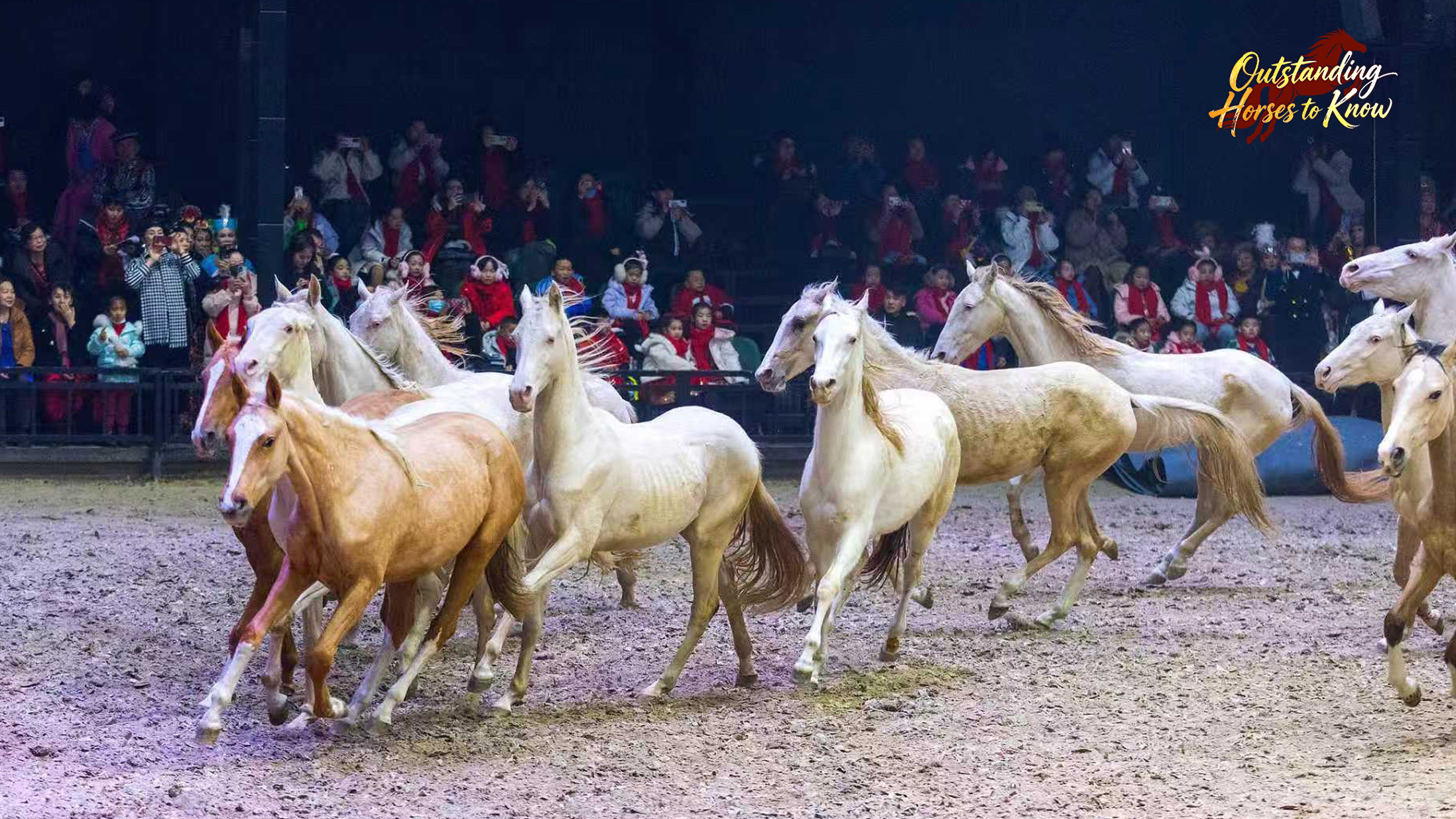 Tourists watch the show by the Akhal-Teke horses in the Xinjiang Ancient Ecological Park, Urumqi, northwest China's Xinjiang Uygur Autonomous Region, December 21, 2024. /VCG