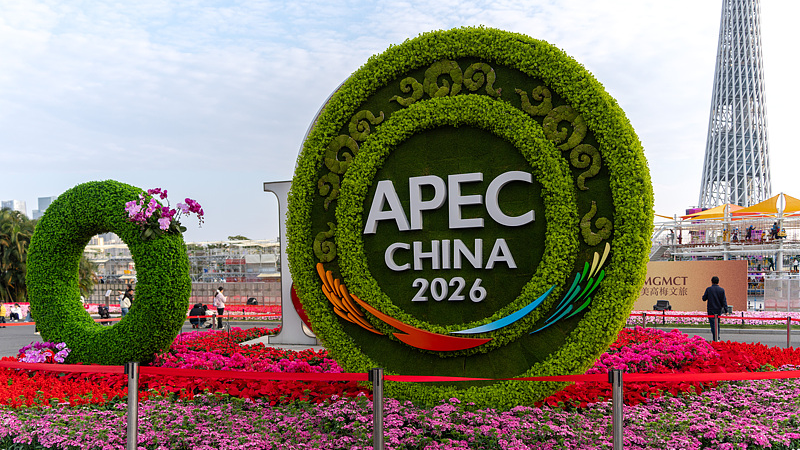 Chinese foreign minister introduces key tasks of APEC China 2026
