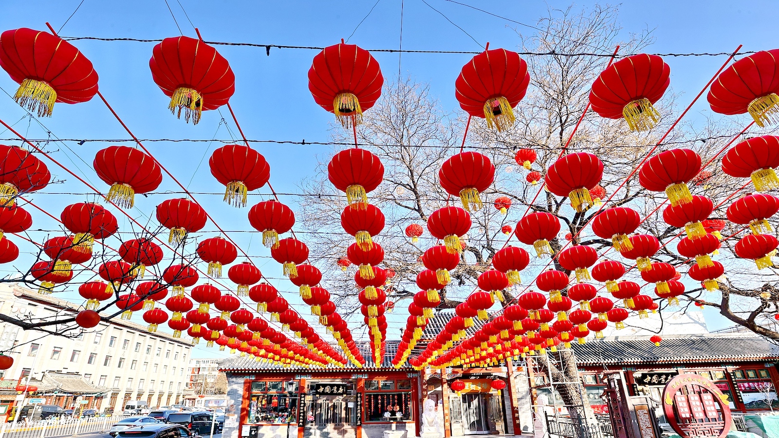 CGTN poll: Data about the Chinese New Year