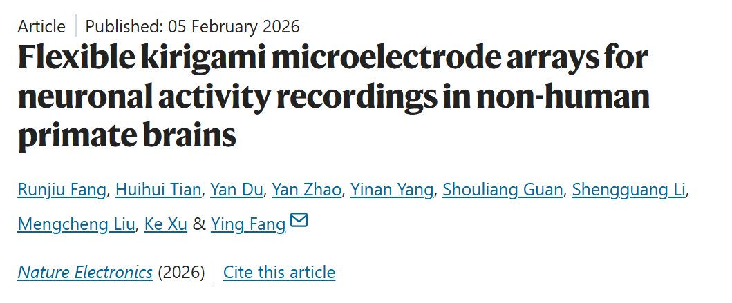 Screenshot of the paper published in Nature Electronics.