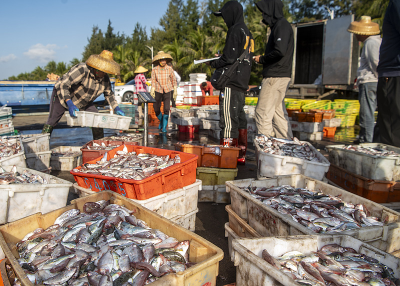 Hainan Province advances digitalization and openness