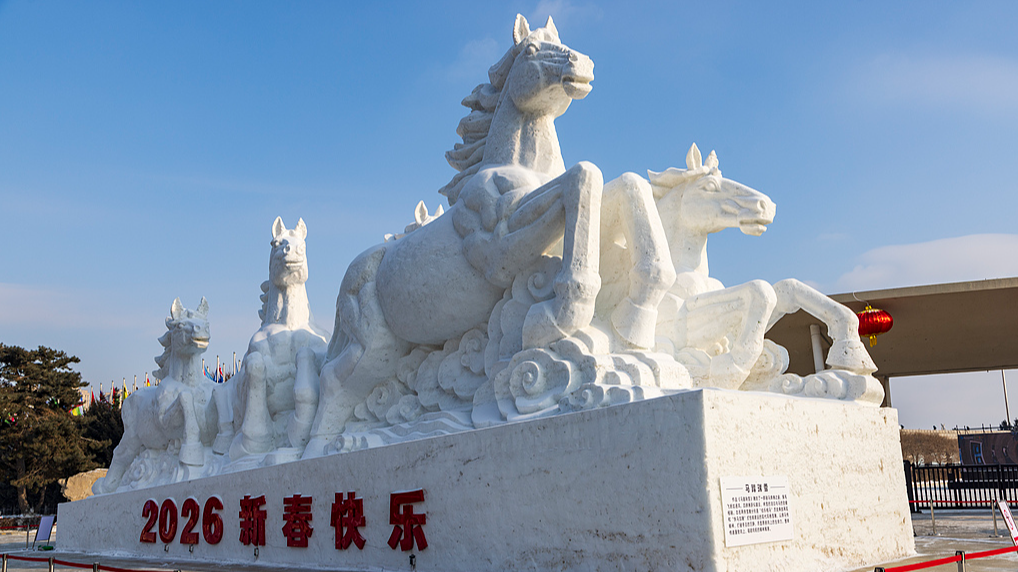 Northeast China's snow and warm hospitality beckons a South African