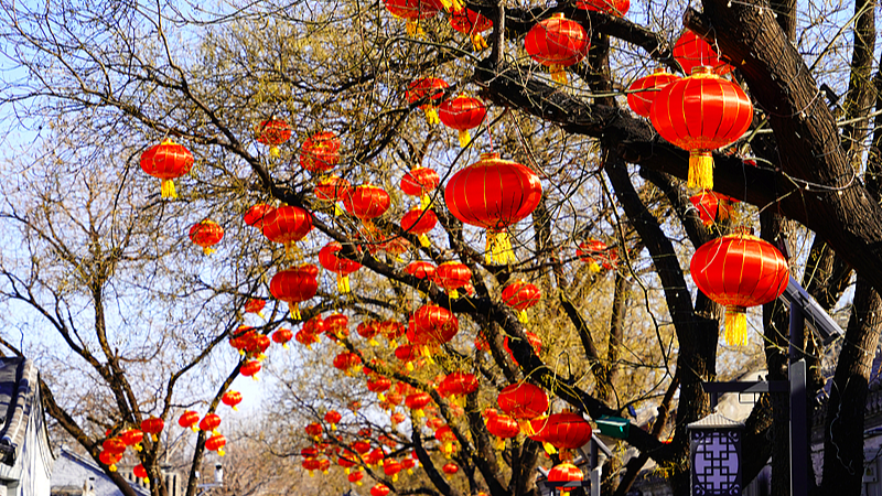 Chinese leaders extend Spring Festival greetings to retired officials