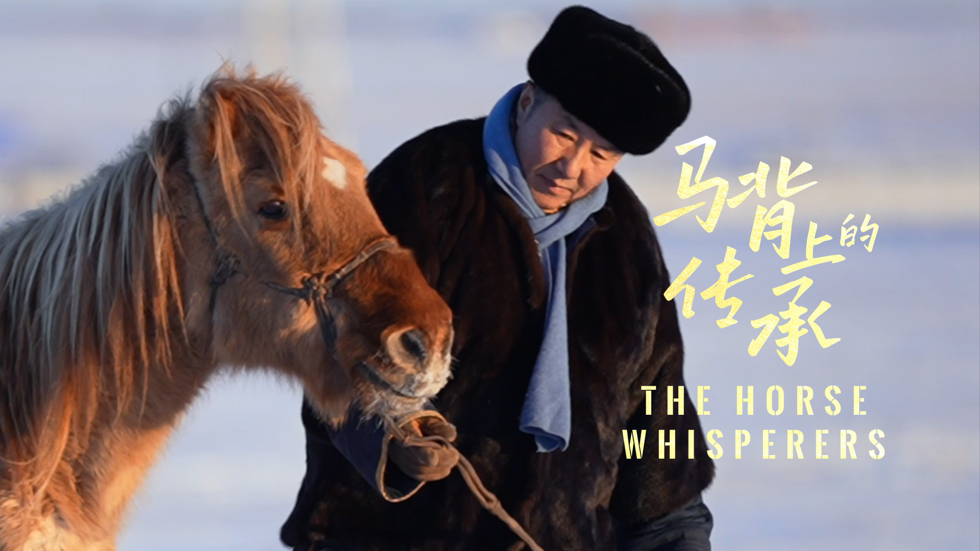 Horse trainer Manlai and his 31-year-old yellow horse. /CGTN