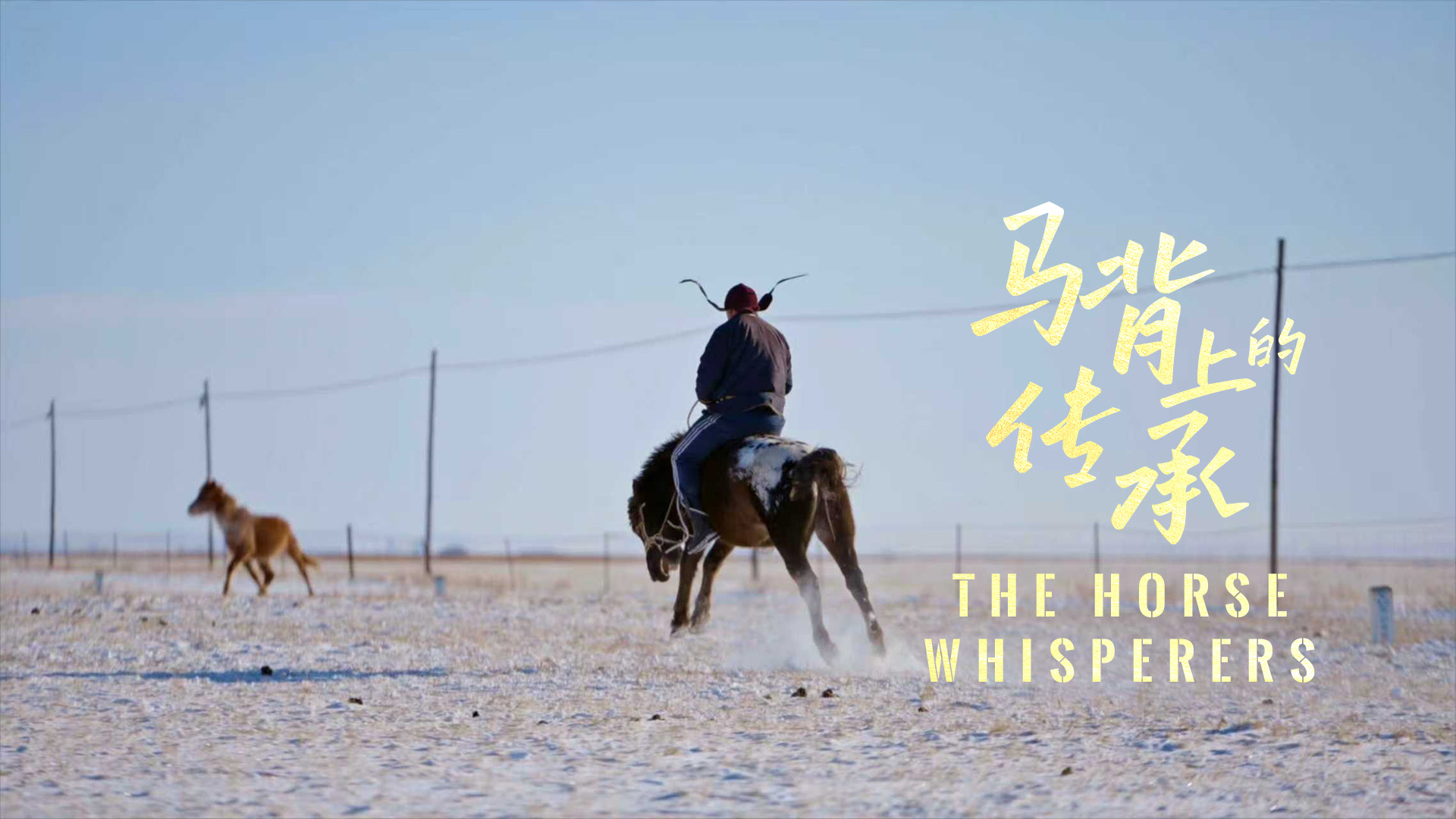 Manlai's apprentice trained a horse. /CGTN