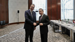 Chinese FM meets with Serbian president in Munich
