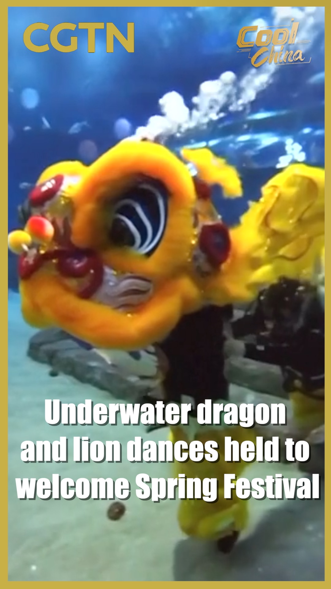 Underwater dragon and lion dances welcome Spring Festival