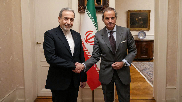 Iranian FM, IAEA chief meet in Geneva for technical discussions