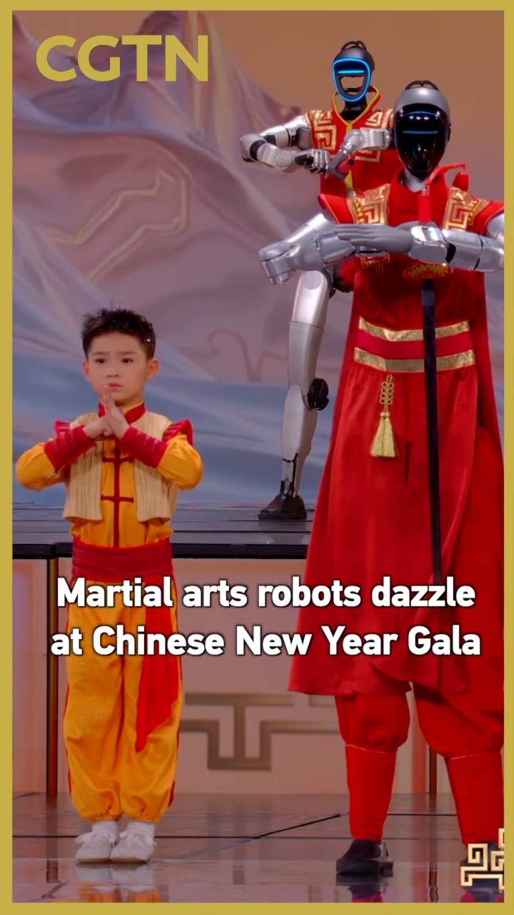 Martial arts robots dazzle at Chinese New Year Gala
