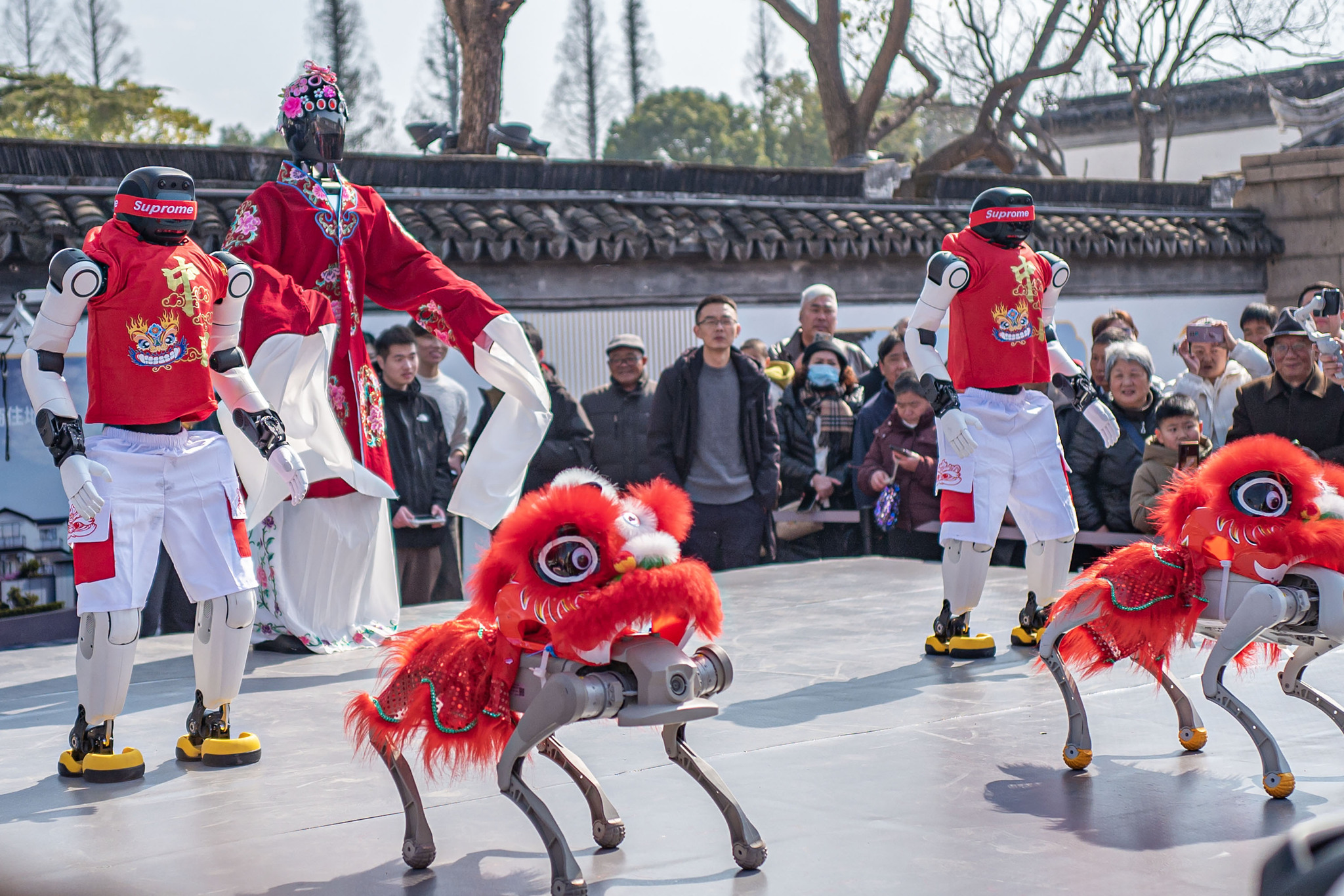 Humanoid robots, along with their dog companions, perform at the ancient town of Zhouzhuang in Kunshan, east China's Jiangsu Province, on February 17, 2026. /VCG