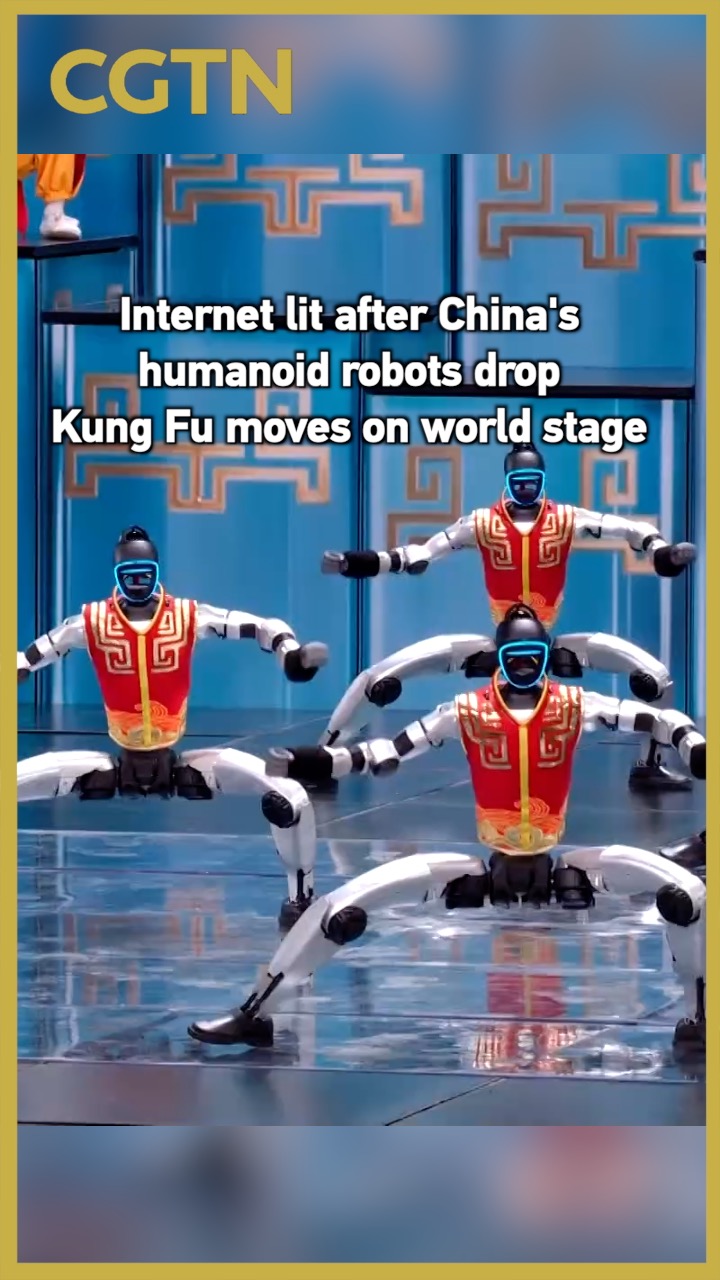 Internet lit after China's humanoid robots drop kung fu moves
