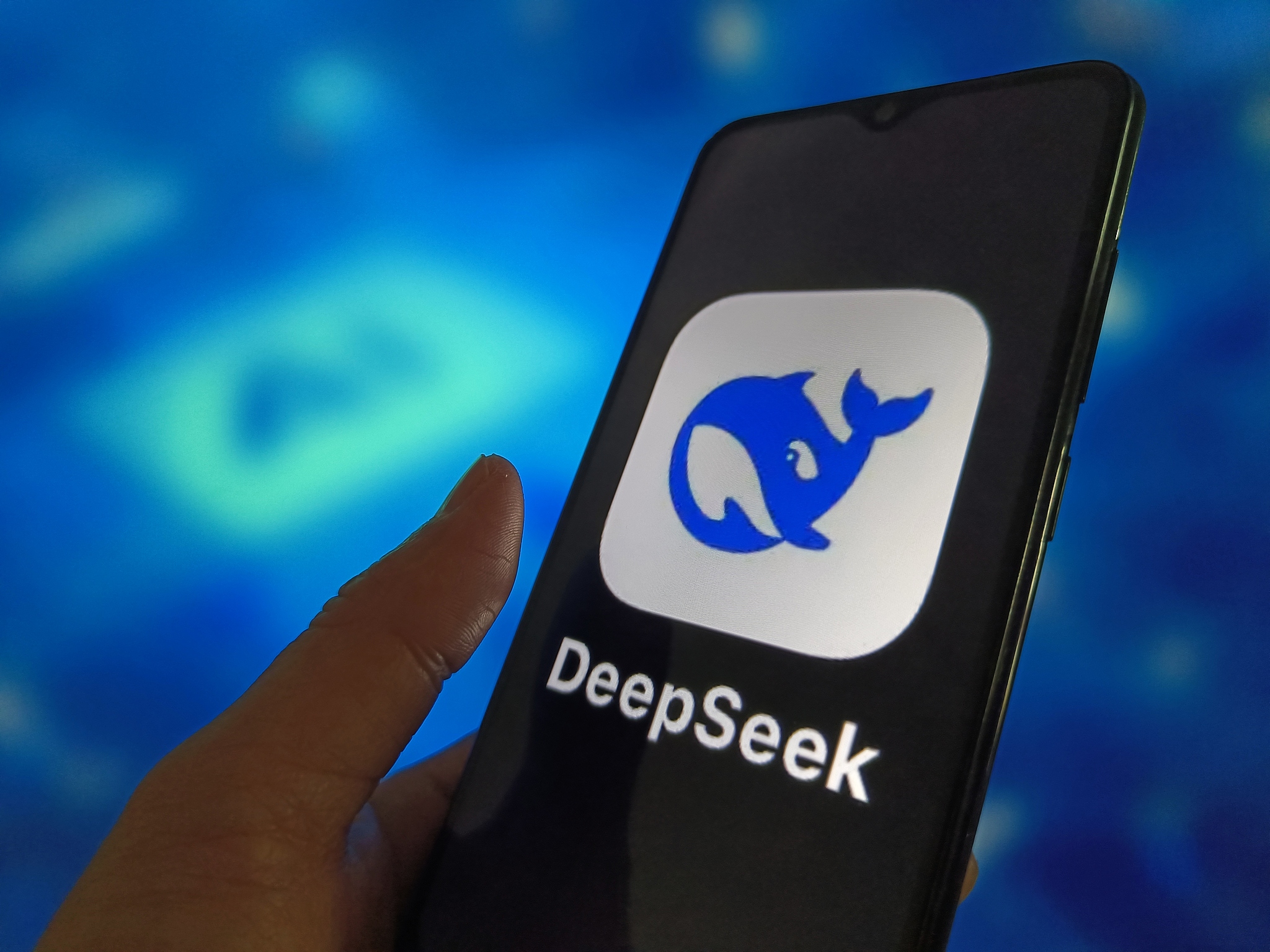 A DeepSeek logo displayed on a smartphone screen, February 13, 2026. /VCG