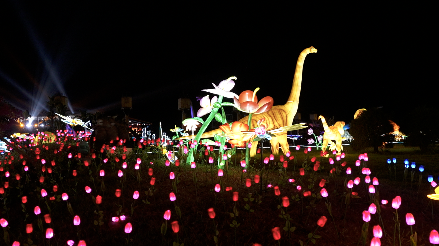 A sea of lanterns: Spring Festival lights up Sanya's countryside