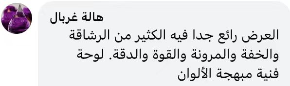 Online comments from an Tunisian netizen. 