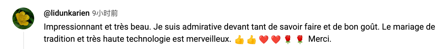 Online comments from a netizen. 