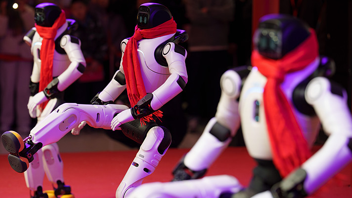 Why humans need humanoid robots