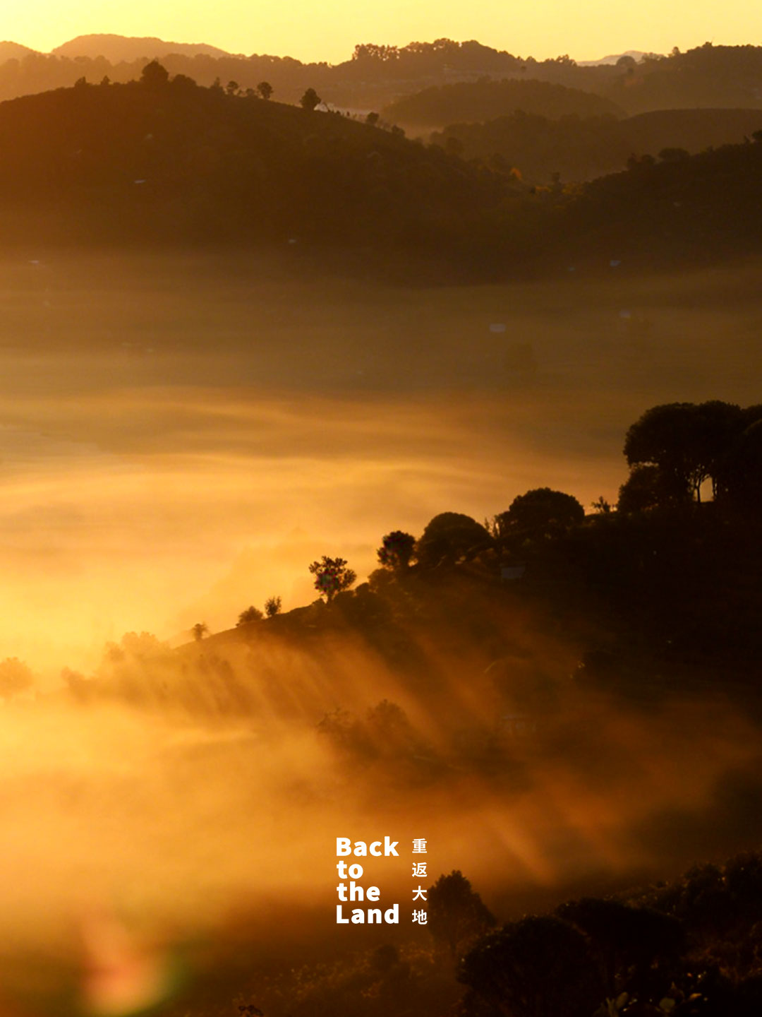 Nestled in southwest China's Yunnan Province, the terraced tea fields of Pu'er awaken under a soft morning glow. /CGTN