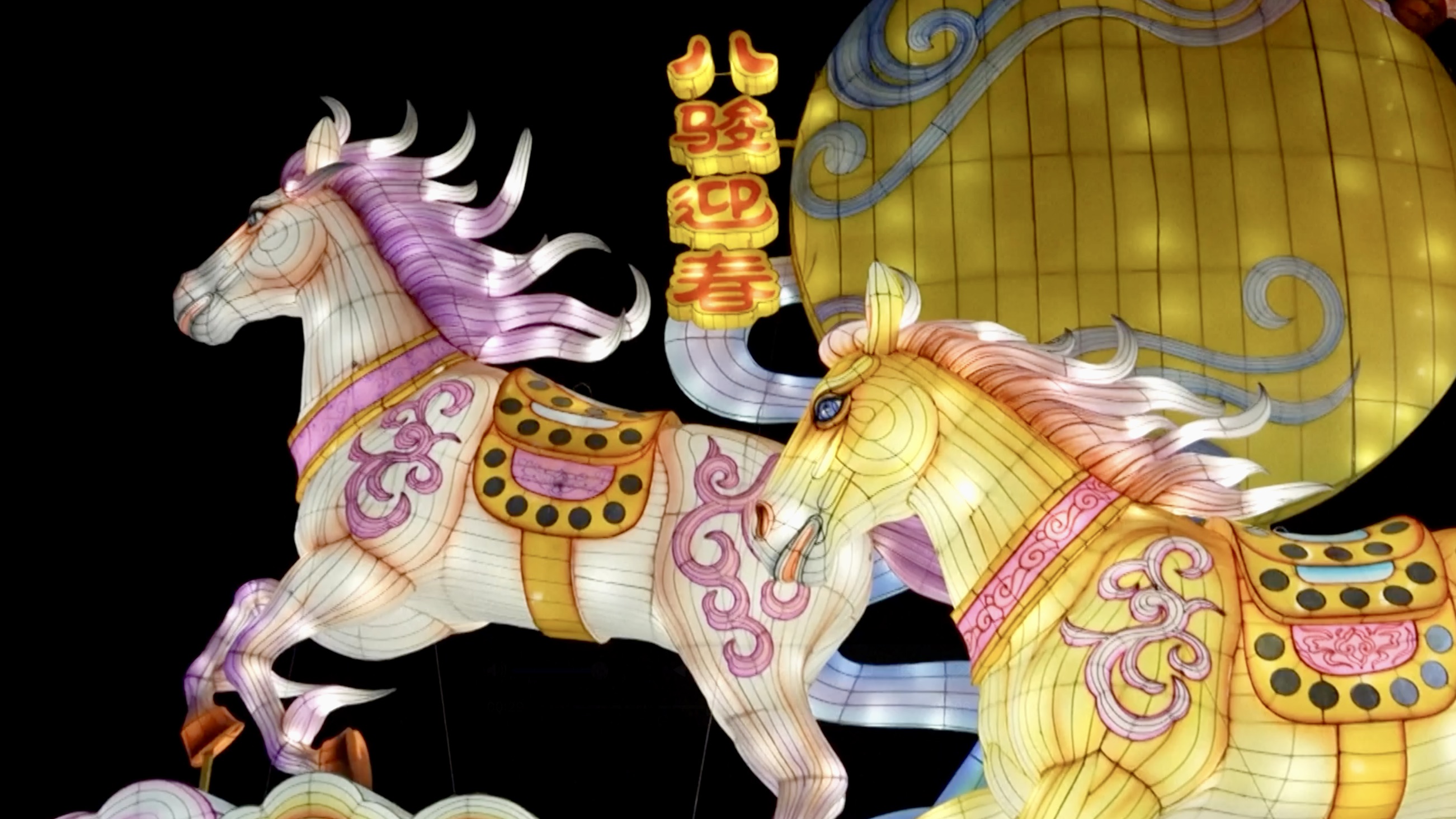 Lanterns brighten Spring Festival nights in China's Ningxia and Anhui