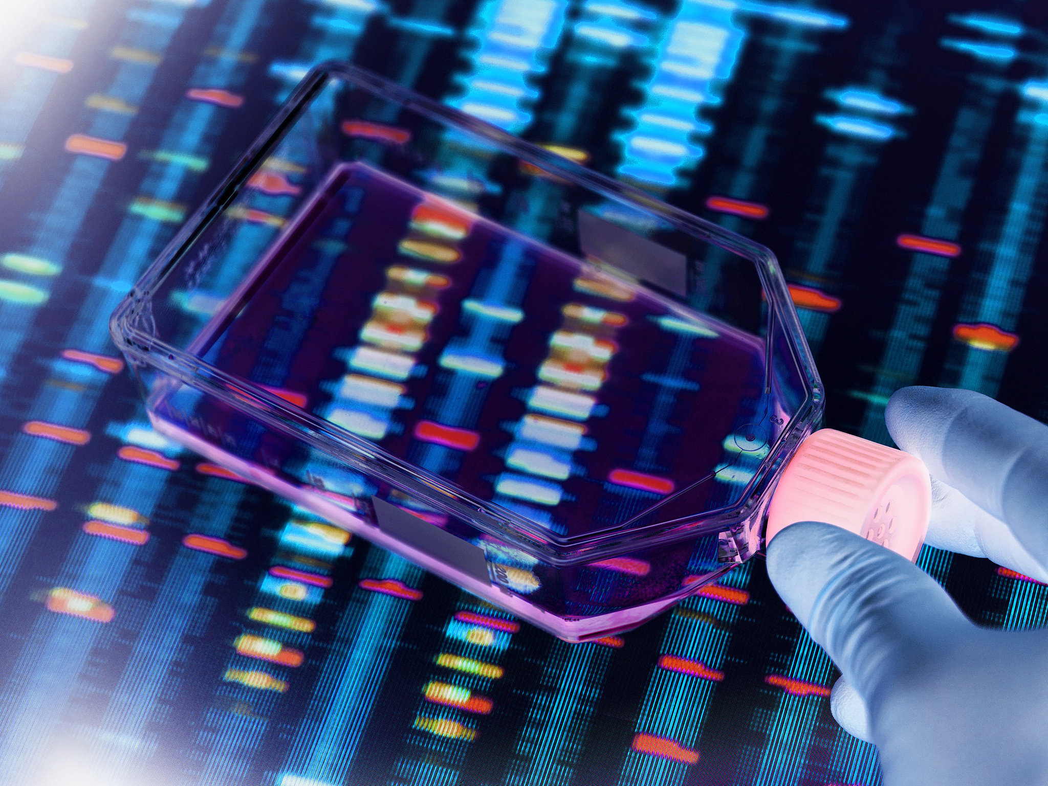 DNA fingerprints. /VCG