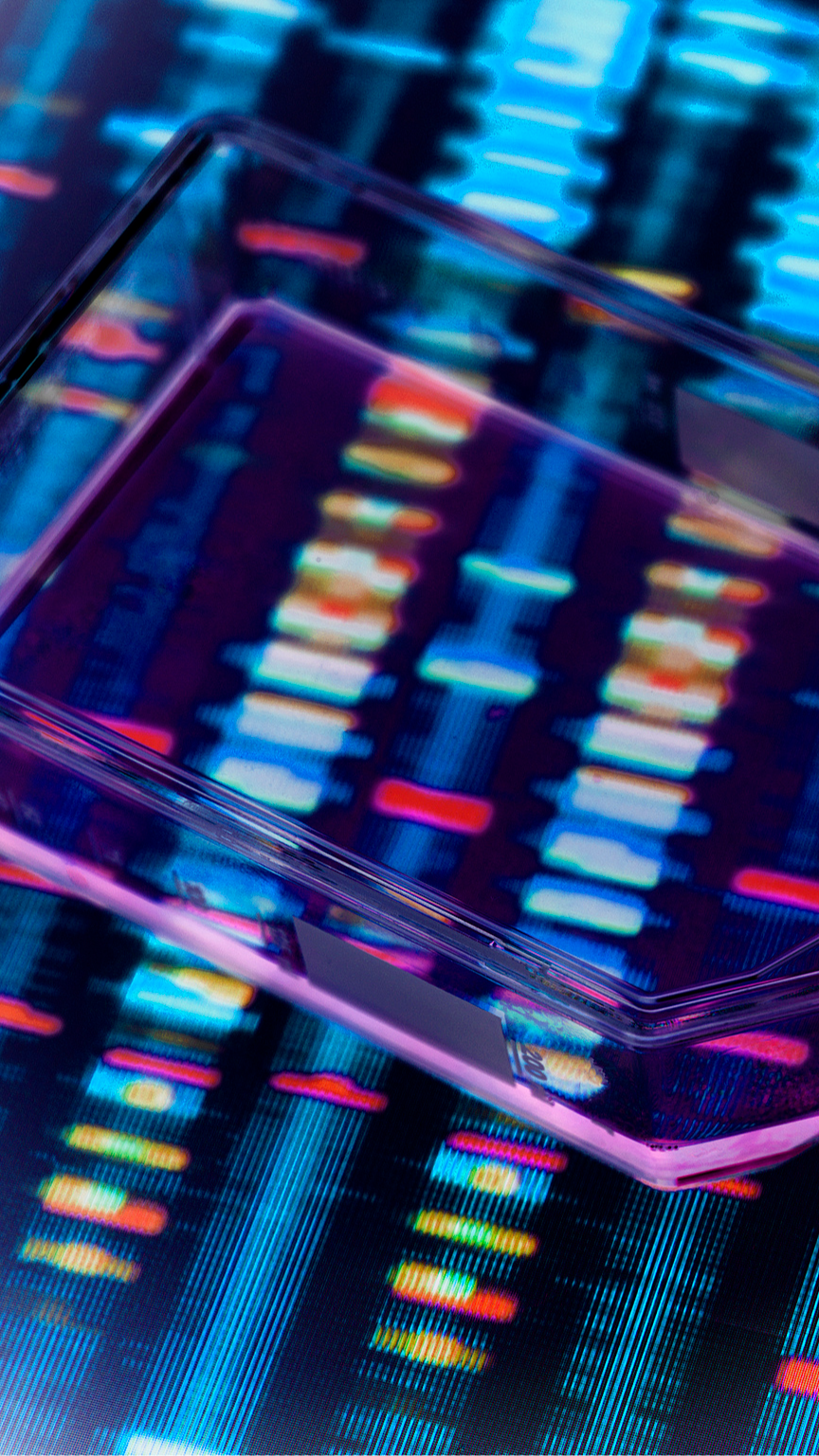 New gene-editing tech restores normal behavior in autistic-like mice