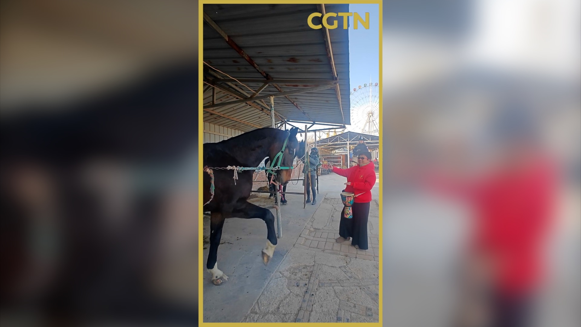 Pony dances to the beat of drums in N China's Shanxi