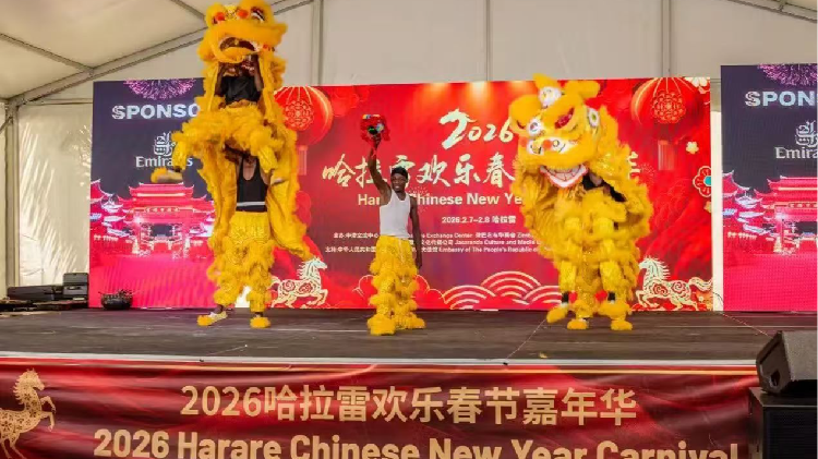 Spring Festival connecting China and Africa
