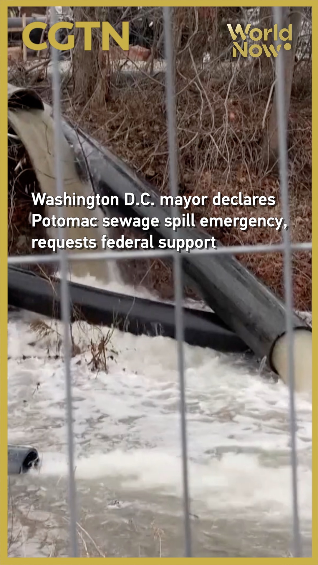 Washington D.C. mayor declares emergency over Potomac sewage spill