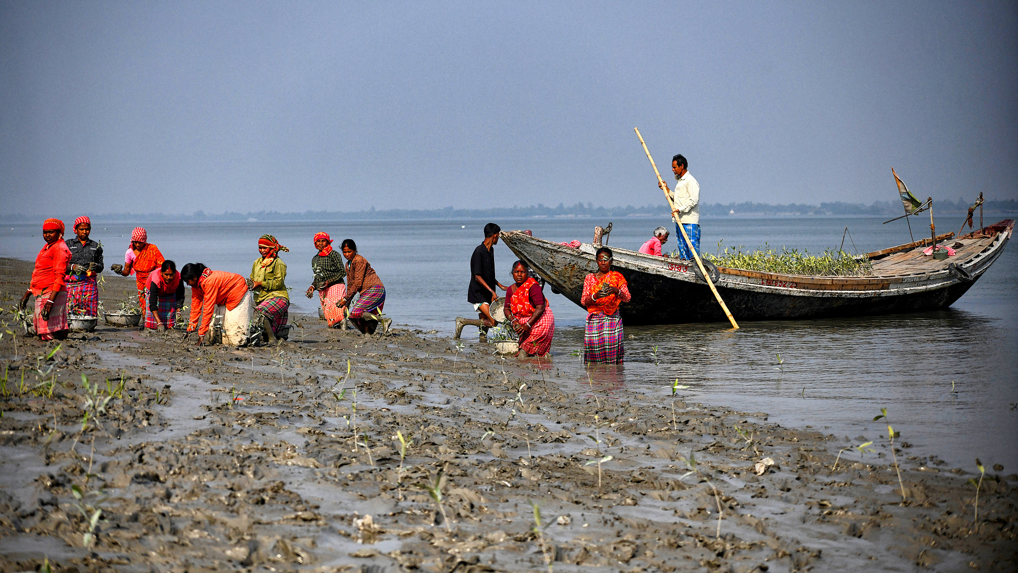 Workers are seen planting mangrove seedlings during a mangrove plantation program at Manipur Village organized by the volunteer group Dhagagia Social Welfare Society (DSWS) to mark the International Day for the Conservation of the Mangrove Ecosystem 2026 on February 11, 2026. /VCG