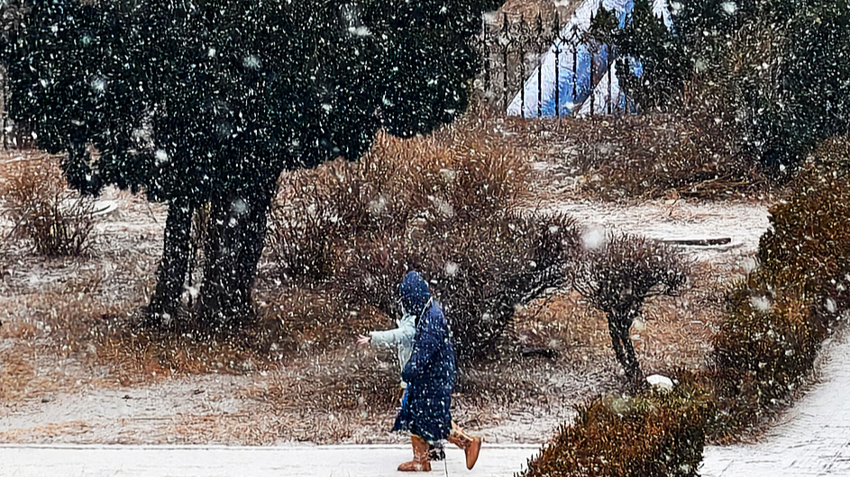 Residents travel under heavy snowfall, Dalian, northeastern China's Liaoning, January 31, 2026. /VCG