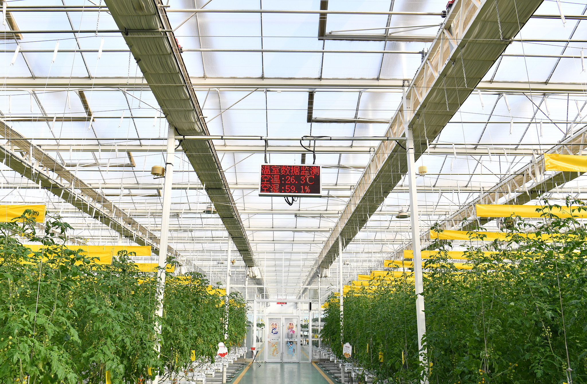Hebei's new agriculture brings new life